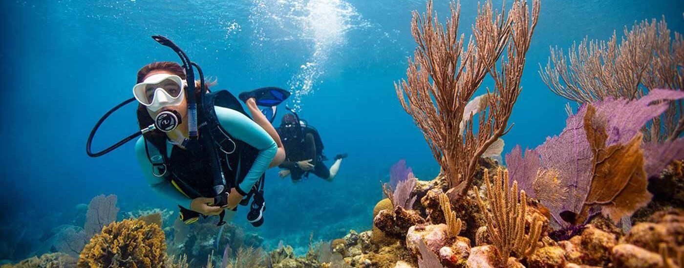 Musandam diving trips