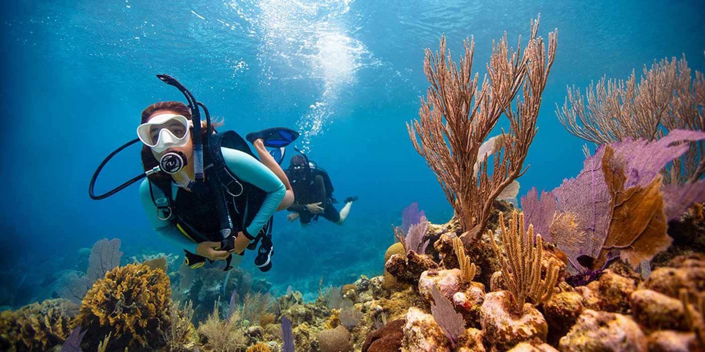 Musandam diving trips