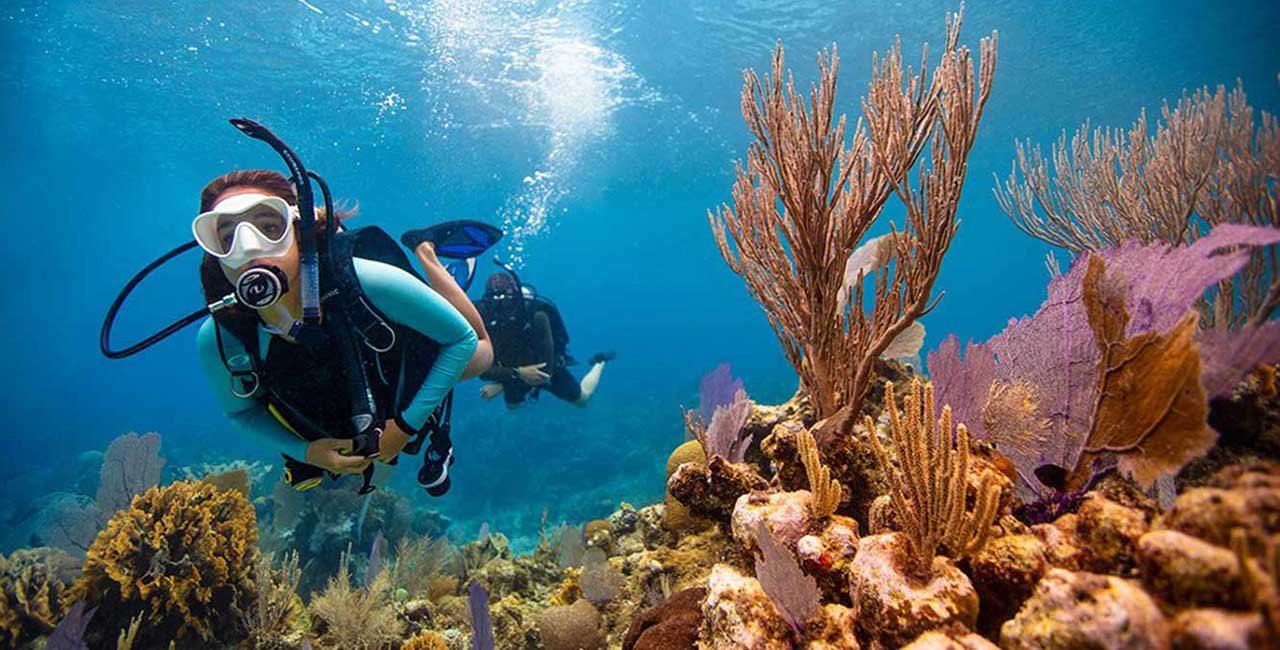 Musandam Diving Trip
